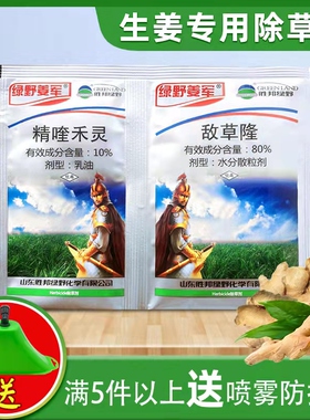 生姜专用除草剂姜田姜地大姜除草剂胜邦绿野姜军精喹禾灵敌草隆
