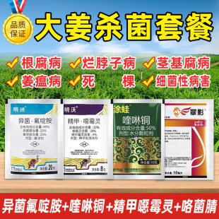 姜瘟病专用药异菌氟啶胺喹啉酮精甲恶霉灵咯菌腈生姜防病药杀菌剂