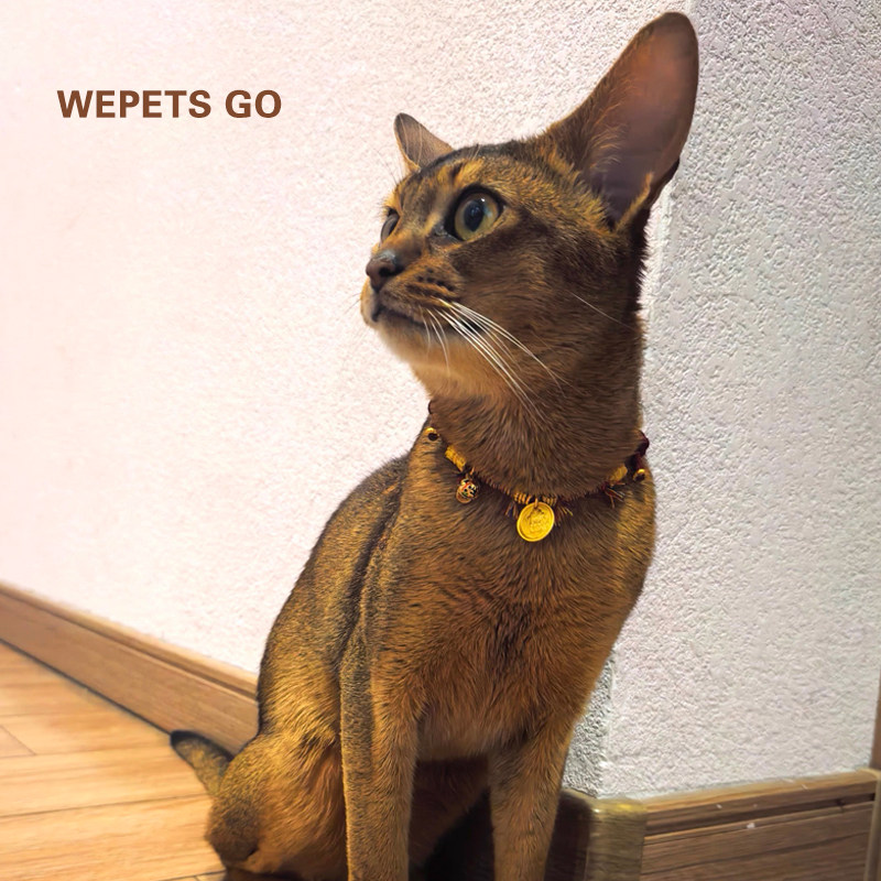 猫咪手工编织项链国风饰品