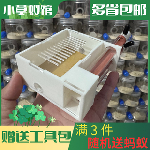 蚂蚁工坊城堡 小莫蚁馆 蚂蚁宠物巢 免组装 套餐送蚂蚁 双试管巢