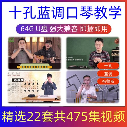 十孔蓝调布鲁斯口琴教学视频新手零基础入门教程初学者全套U盘
