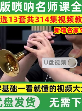 唢呐教程U盘新手零基础入门视频课程中老年自学课程教学优盘全集