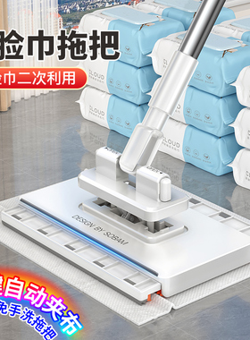 索邦洗脸巾拖把2025新款家用一拖净免手洗多功能懒人迷你平板拖布