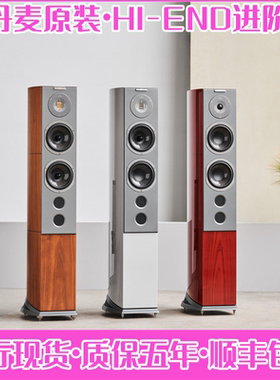 丹麦AUDIOVECTOR/傲力R6 签名、前卫、极点版HI-END无源落地音箱