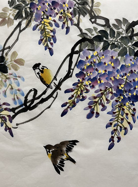 50X50CM走道装饰国画花鸟字画纯手绘三尺斗方紫藤紫气东来未装裱