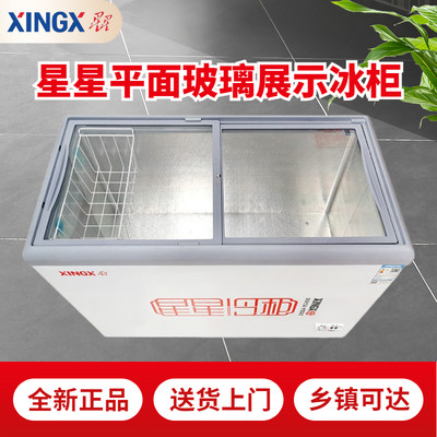 XINGX星星 SD/SC-303B平面透明推拉玻璃门商用大容量单温展示冰柜