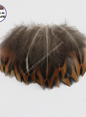 优质山鸡小仓DIY手工装饰材料饰品其他配件服装帽子辅料鸡毛天然