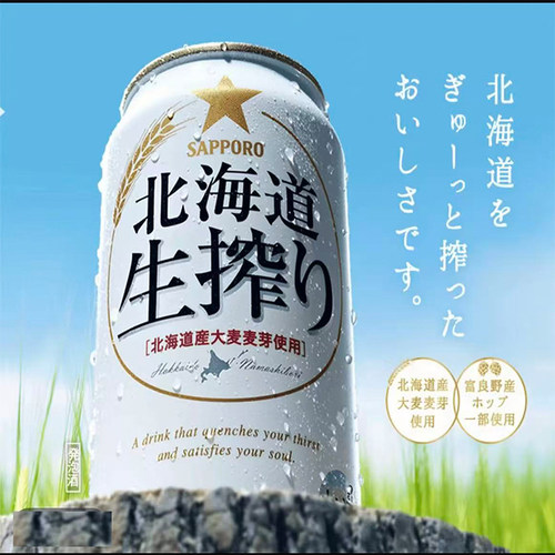 日本精酿生啤组合350ml罐