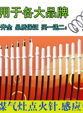 奥克斯志高百德王通用包邮点火针