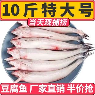 豆腐鱼海鲜大头鱼水龙鱼新鲜九肚鱼龙头鱼鲜活冷冻包邮丝丁鱼水潺