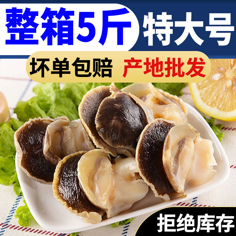 新鲜现剥海螺香螺肉海鲜鲜活水产大海螺冷冻玉螺肉去内脏,水产肉类/新鲜蔬果/熟食,淡水鱼类,淘宝优惠券,粉丝福利购,淘宝优惠卷
