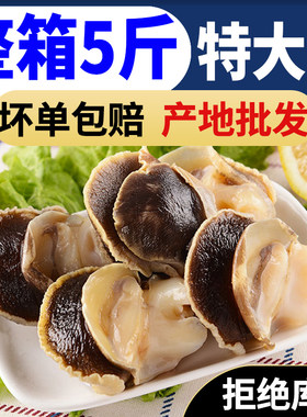 新鲜现剥海螺香螺肉海鲜鲜活水产大海螺冷冻玉螺肉去内脏
