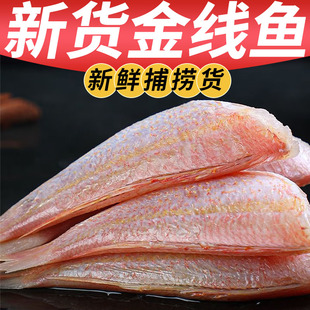 新鲜去头金线鱼新鲜速冻海鱼内脏去头大号金线鱼肉多红杉鱼