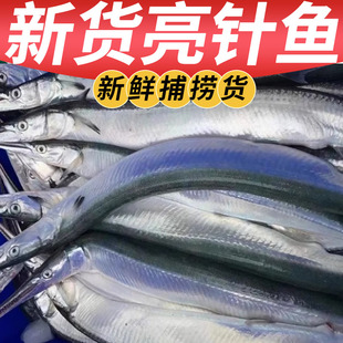 新鲜针鱼速冻野生良鱼亮鱼冠青鱼梁鱼绿骨鱼海鲜鲜活冰鲜冷