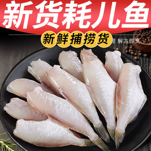 海鲶鱼新鲜大号沙光鱼海捕海菇鱼胖头鱼狗光鱼黄狗鱼鲜活海鱼