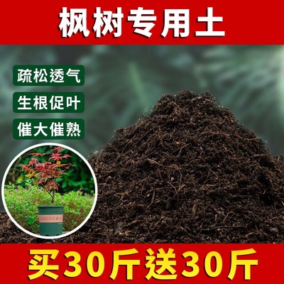 枫树专用土家庭绿植栽培土枫树营养土种植泥土家庭肥料疏松土壤