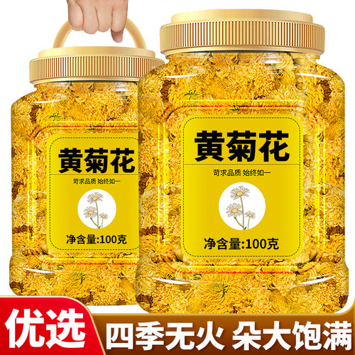 黄山黄菊花茶罐装新货泡水泡茶