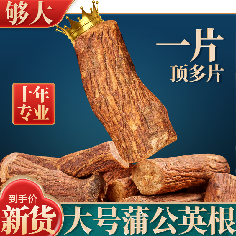 正品蒲公英根500克特级蒲公英