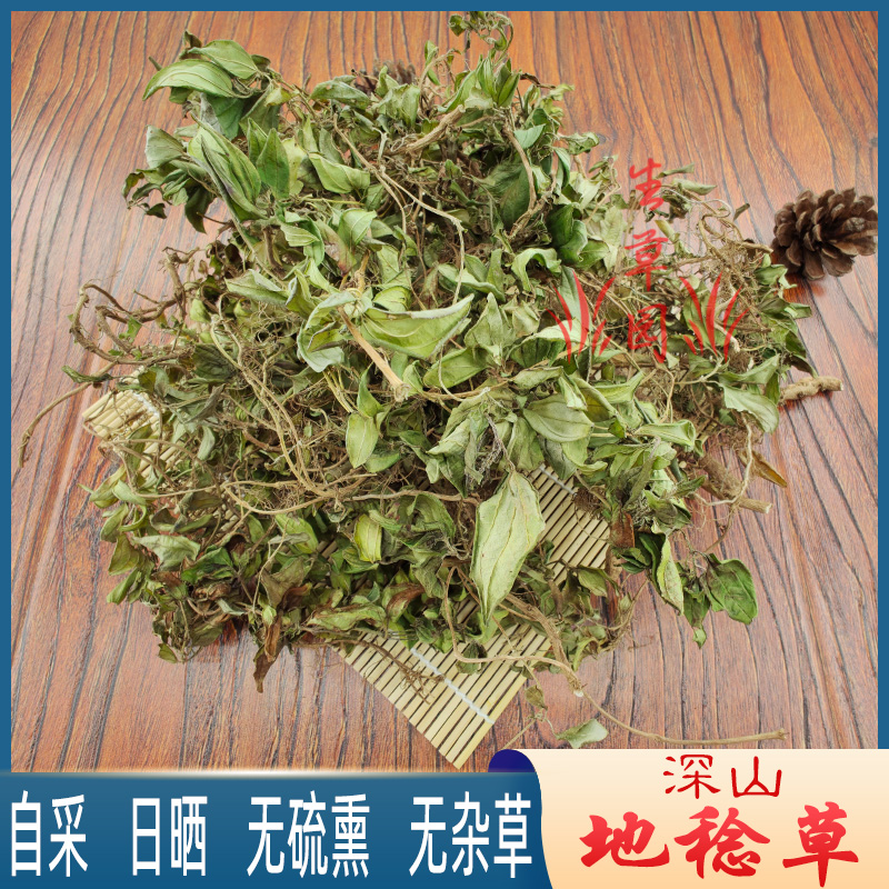 铺地锦地稔根中草药地稔草中药材