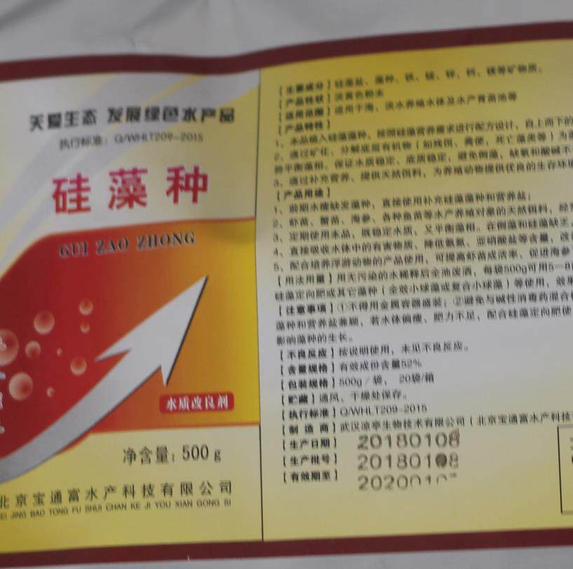 速生藻种 源 高效快速陪藻低温肥水抑制蓝藻 浓缩型 菌硅藻种