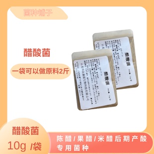 活性醋酸菌酸化酿醋曲米醋老陈食醋果醋用曲种10g包邮厂家直供