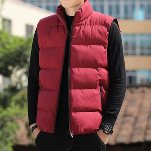 2025新款潮男男士港风复古工装棉马甲男纯色立领马甲棉背MJ55-P25图片