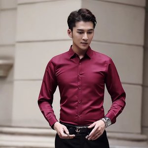2025春夏季大码纯色长袖衬衫男商务修身时尚免烫衬衣男cs615-P13图片