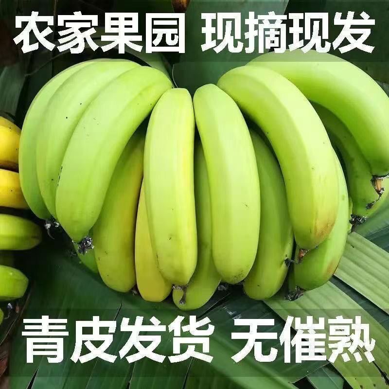高山甜香蕉新鲜水果当季现摘甜糯口感大芭蕉小米蕉帝皇蕉自然熟