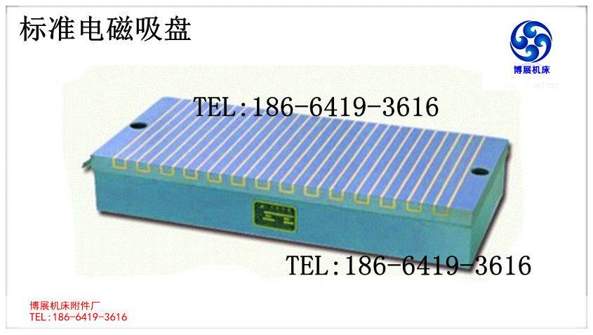 标准电磁吸盘 磨床电磁吸盘 矩形电磁盘 电磁吸盘 300*1000