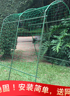 拱门花架爬藤架黄瓜支架庭院植物包塑钢管厚葡萄架爬藤架子花支架