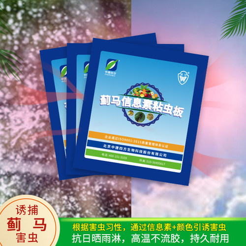 果树粘虫板蓟马信息诱虫板素