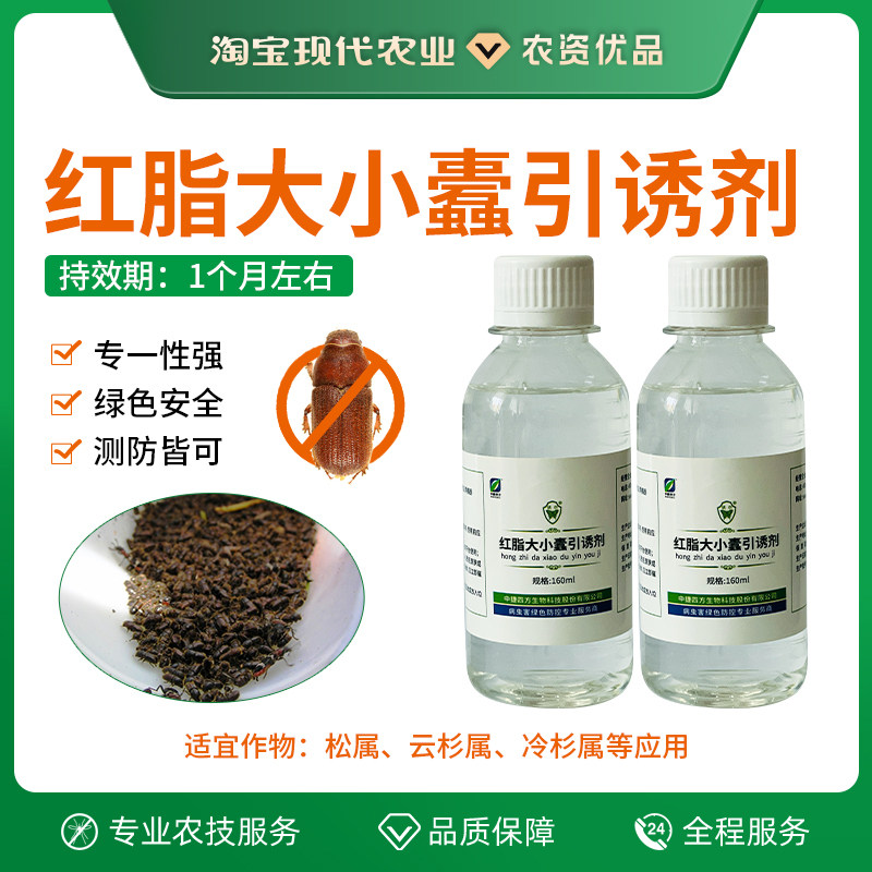 中捷四方红脂大小蠹引诱剂诱捕性信息素引诱配件林业农具诱捕