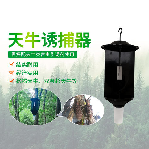 中捷四方新款天牛诱捕器害虫