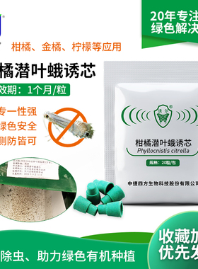 中捷四方柑橘潜叶蛾性昆虫信息素诱芯性诱剂蔬菜番茄绿色杀虫诱捕