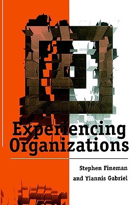 【预售】Experiencing Organizations
