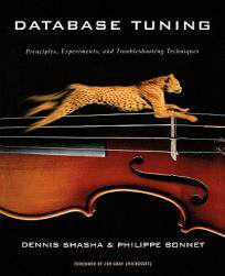 【预售】Database Tuning: Principles, Experiments, and