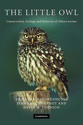 【预售】The Little Owl: Conservation, Ecology and Behavior