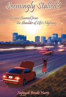 【预售】Seemingly Stalled?: Lessons Learned from the