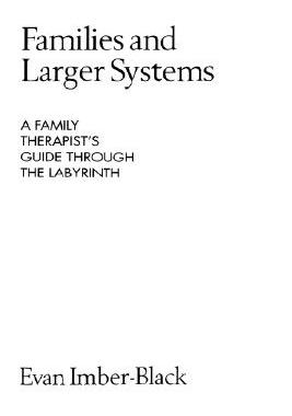 【预售】Families and Larger Systems: A Family Therapist's