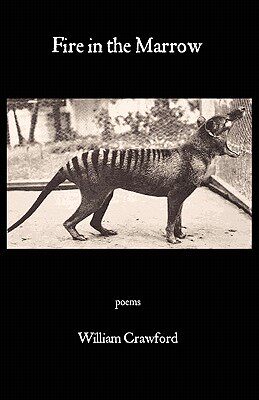 【预售】Fire in the Marrow