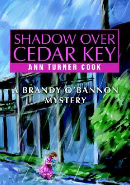 【预售】Shadow Over Cedar Key: A Brandy O'Bannon Mystery