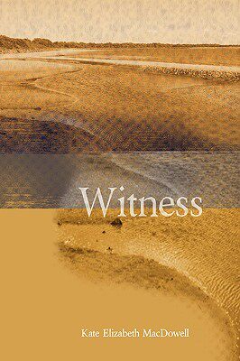 【预售】Witness