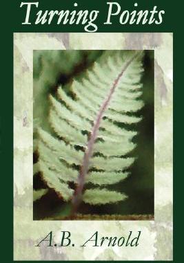 【预售】Turning Points