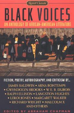 【预售】Black Voices