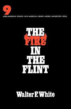 【预售】Fire in the Flint