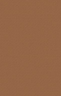 【预售】Inquiry Into Inquiries: Essays in Social Theory