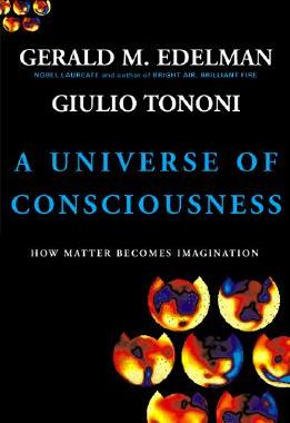 【预售】A Universe of Consciousness How Matter Becomes