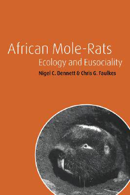 【预售】African Mole-Rats: Ecology and Eusociality