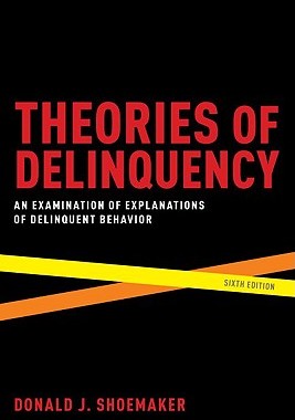 【预售】Theories of Delinquency: An Examination of