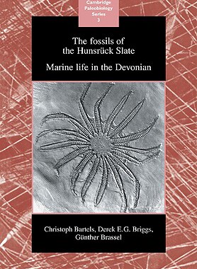 【预售】The Fossils of the Hunsr Ck Slate: Marine Life in